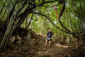 BIB: 
                            <button type="button" onclick="openModal(22178416)" class="btn btn-primary btn-sm float-right btn-popup" data-toggle="modal" data-target=".modal-high-quality">
                        <i class="fas fa-shopping-cart"></i> Add to Cart
                    </button>
                                            <button type="button" onclick="isThisMe(22178416, true)" class="btn btn-success btn-sm float-right btn-popup btn-isme hidden" data-toggle="tooltip" data-placement="bottom" title="นี่คือรูปของคุณใช่ไหม คลิกที่นี่เพื่อเอาเข้าอัลบั้ม">
                        <i class="fas fa-plus"></i> Add to album
                    </button>
                    <button type="button" onclick="isThisMe(22178416, false)" class="btn btn-warning btn-sm float-right btn-popup btn-isnotme hidden">
                        <i class="fas fa-ban"></i> Remove from album
                    </button>